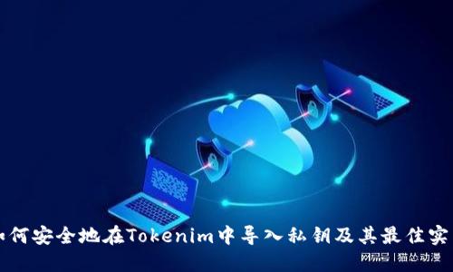 如何安全地在Tokenim中导入私钥及其最佳实践