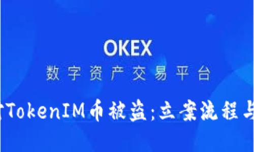  如何应对TokenIM币被盗：立案流程与预防措施
