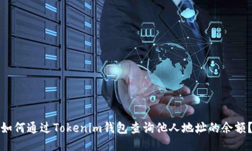 如何通过Tokenim钱包查询他人地址的余额？