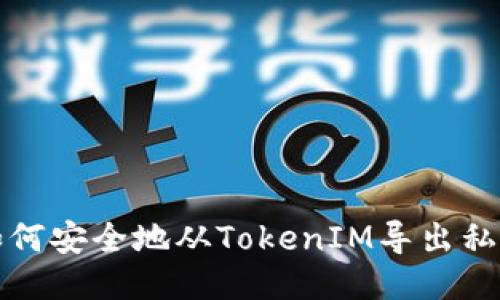 如何安全地从TokenIM导出私钥