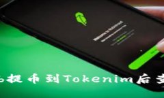 如何解决Ckb提币到Tokenim后查不到的问题