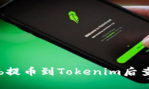 如何解决Ckb提币到Tokenim后查不到的问题