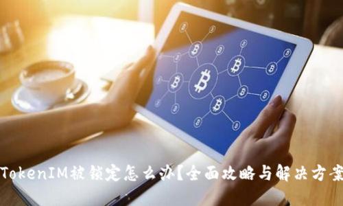 TokenIM被锁定怎么办？全面攻略与解决方案