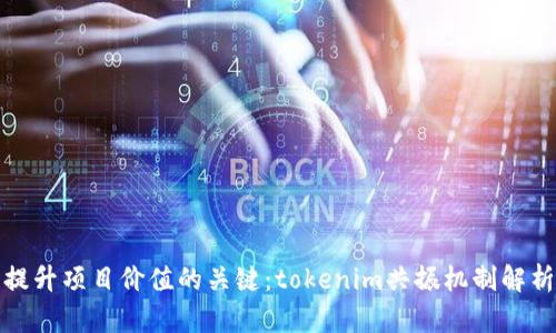 提升项目价值的关键：tokenim共振机制解析