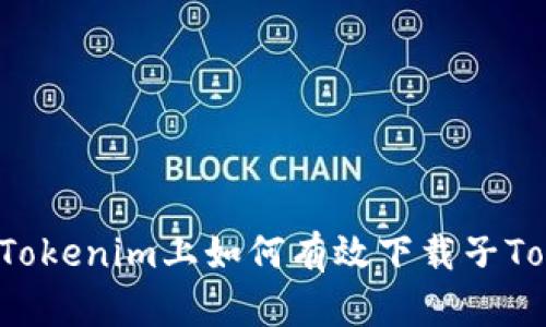  在Tokenim上如何有效下载子Token