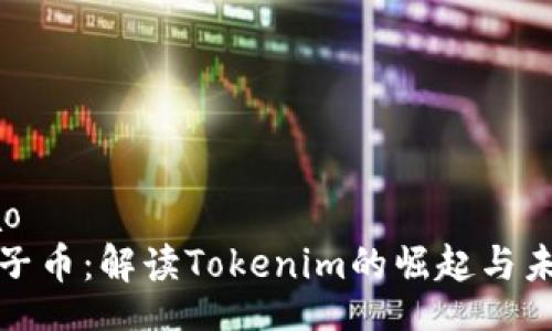 bao/bao
探秘柚子币：解读Tokenim的崛起与未来发展