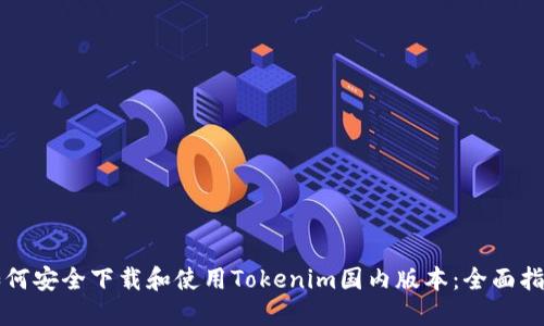 如何安全下载和使用Tokenim国内版本：全面指南