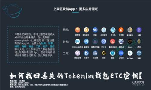 如何找回丢失的Tokenim钱包ETC密钥？