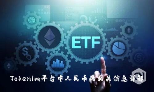 Tokenim平台中人民币的相关信息详解