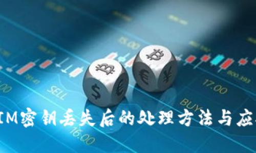 TokenIM密钥丢失后的处理方法与应对措施