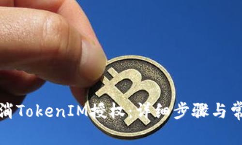 如何取消TokenIM授权：详细步骤与常见问题