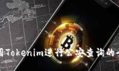 如何利用Tokenim进行公安查询的全面指南