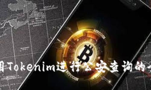 如何利用Tokenim进行公安查询的全面指南