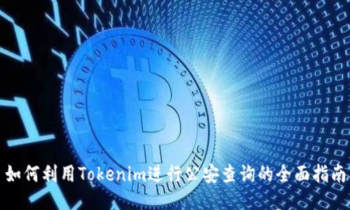 如何利用Tokenim进行公安查询的全面指南