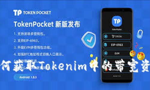 如何获取Tokenim中的带宽资源