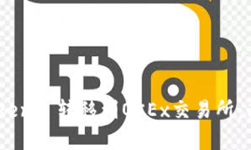 如何将Tokenim Tokens 转移到OKEx交易所：简单易懂的操作指南