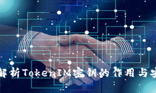 深入解析TokenIM密钥的作用与安全性