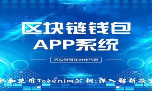 如何获取和使用Tokenim公钥：深入解析及实用指南