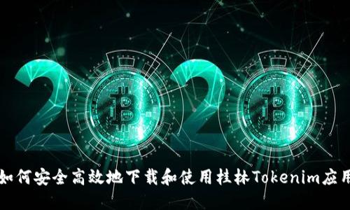 如何安全高效地下载和使用桂林Tokenim应用