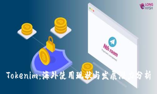 Tokenim：海外使用现状与发展潜力分析