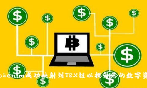 如何将Tokenim成功映射到TRX链以提升您的数字资产体验？