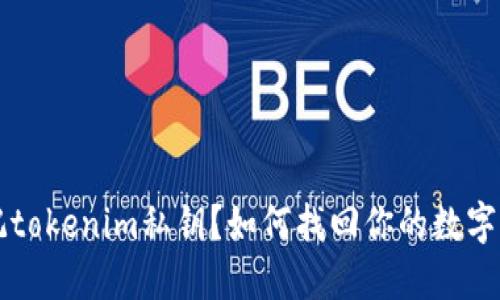 忘记tokenim私钥？如何找回你的数字资产