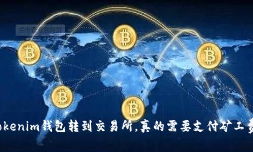 从Tokenim钱包转到交易所，真的需要支付矿工费吗？