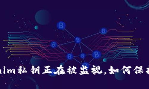 当心！你的Tokenim私钥正在被监视，如何保护自己不受攻击？