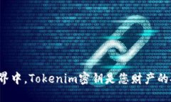 在区块链世界中，Tokenim密钥是您财产的安全守护