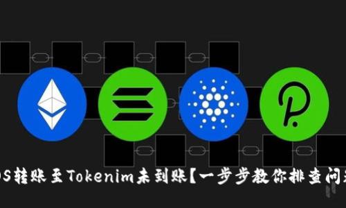 EOS转账至Tokenim未到账？一步步教你排查问题！