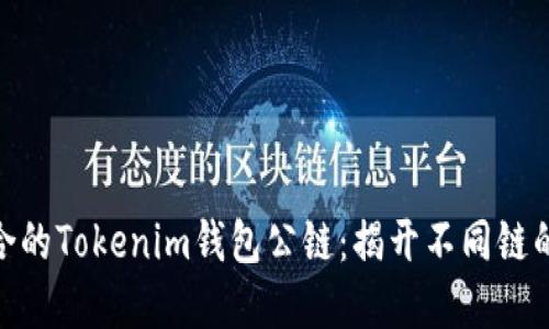 选择最适合的Tokenim钱包公链：揭开不同链的优劣之谜