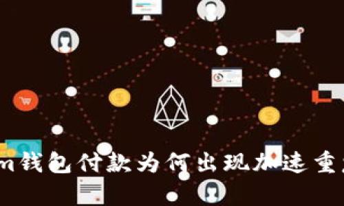 Tokenim钱包付款为何出现加速重复支付？