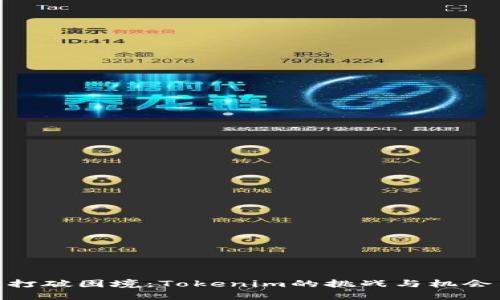 打破困境：Tokenim的挑战与机会