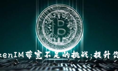 如何应对TokenIM带宽不足的挑战：提升你的网络体验