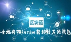 如何轻松安全地将Tokenim转移到其他钱包？不再困