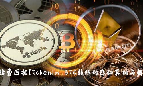 高额手续费困扰？Tokenim BTC转账的隐秘真相与解决之道！