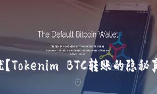 高额手续费困扰？Tokenim BTC转账的隐秘真相与解决之道！