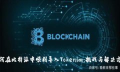 如何在比特派中顺利导入Tokenim：挑战与解决方案