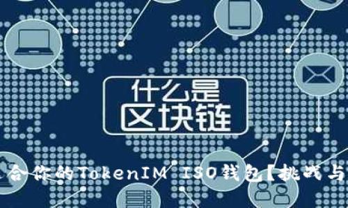 如何选择最适合你的TokenIM ISO钱包？挑战与解决方案一览