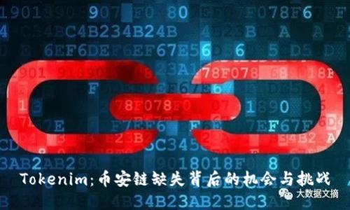 Tokenim：币安链缺失背后的机会与挑战