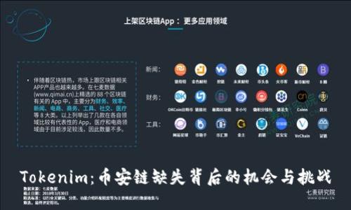 Tokenim：币安链缺失背后的机会与挑战