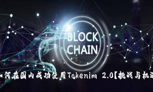 biati如何在国内成功使用Tokenim 2.0？挑战与机遇并存！