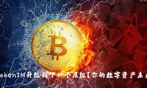 bianoti如何把TokenIM升级到下一个层级？你的数字资产未来在挑战中闪耀！