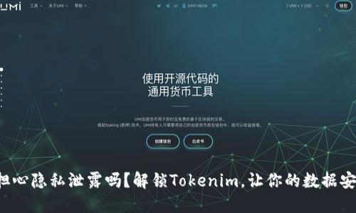你还在担心隐私泄露吗？解锁Tokenim，让你的数据安全无忧！