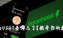 IM冷钱包中的USDT去哪儿了？揭开你的数字资产之