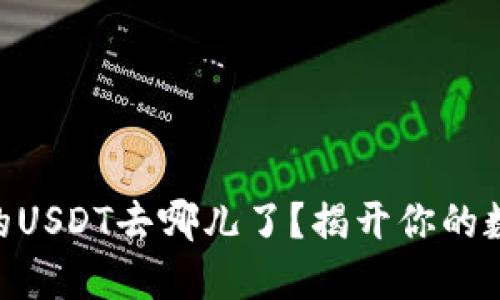 IM冷钱包中的USDT去哪儿了？揭开你的数字资产之谜！