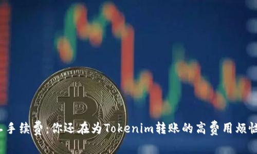 “矿工手续费：你还在为Tokenim转账的高费用烦恼吗？”