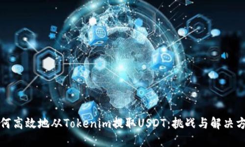 如何高效地从Tokenim提取USDT：挑战与解决方案