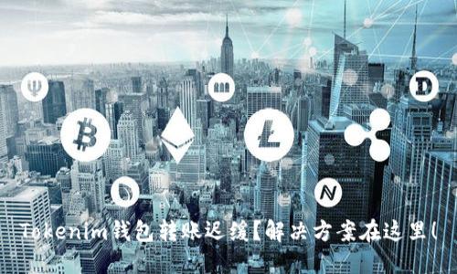 Tokenim钱包转账迟缓？解决方案在这里！