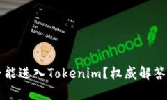 传销币是否能进入Tokenim？权威解答与深度分析